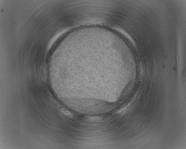 X0000078300878200612011832