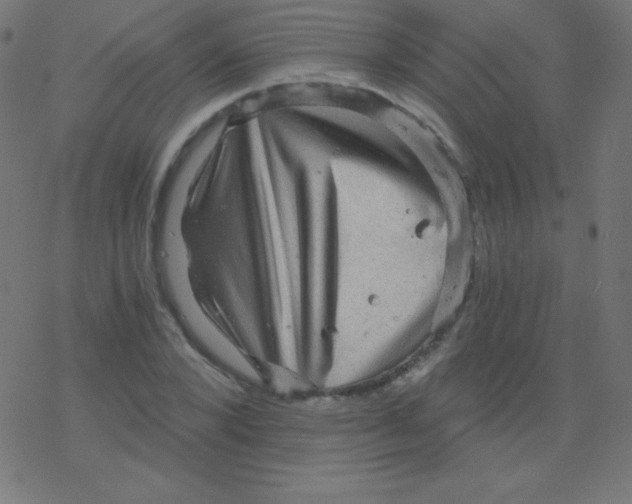 X0000078300880200612011832