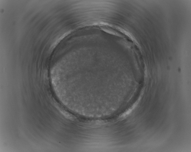 X0000078300881200612011832