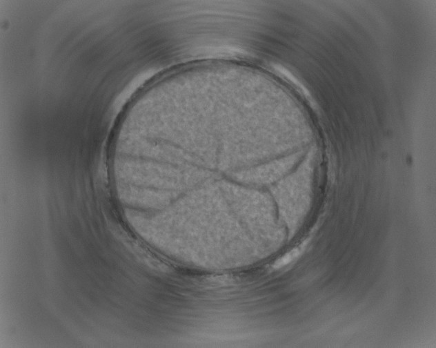 X0000078300883200612011832