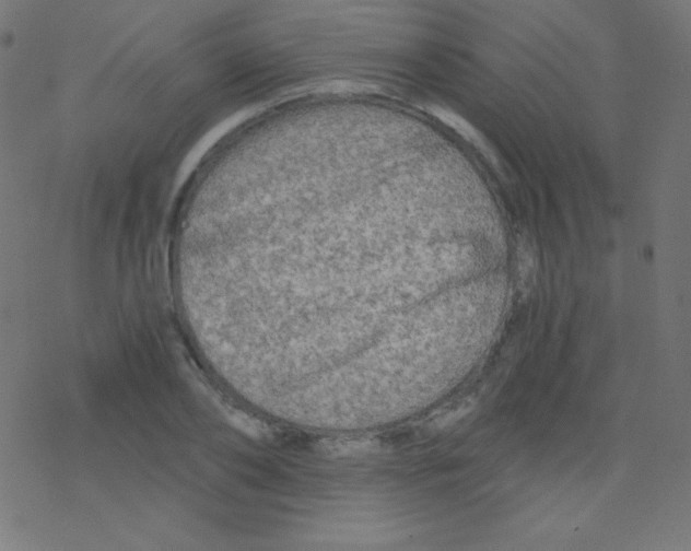 X0000078300886200612011832