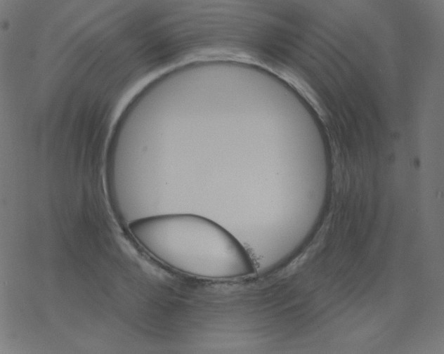 X0000078300888200612011832