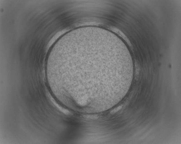 X0000078300890200612011832