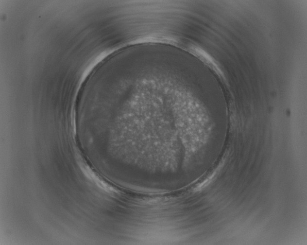 X0000078300892200612011832