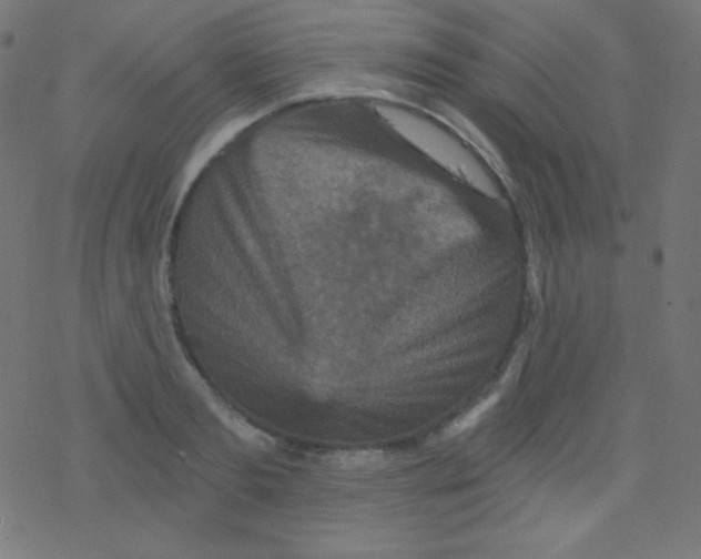 X0000078300893200612011832