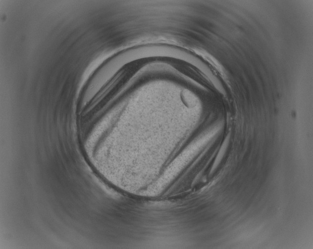 X0000078300894200612011832