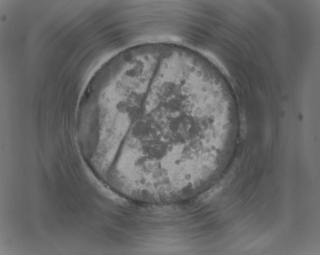 X0000078300895200612011832