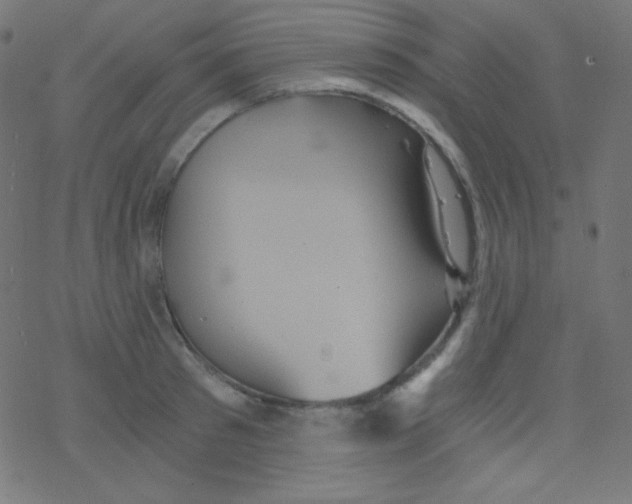 X0000078300897200612011832