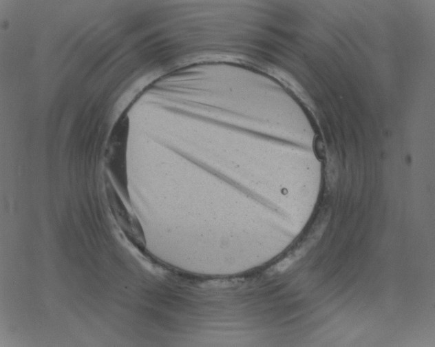 X0000078300898200612011832