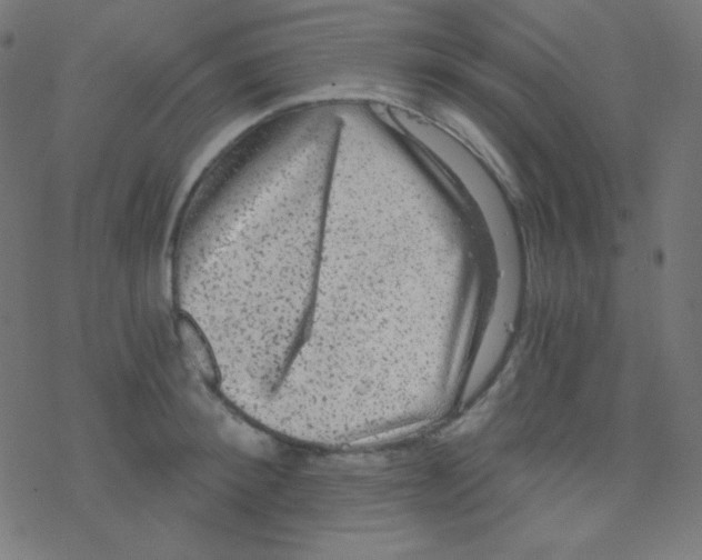 X0000078300900200612011831