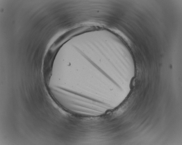 X0000078300902200612011831