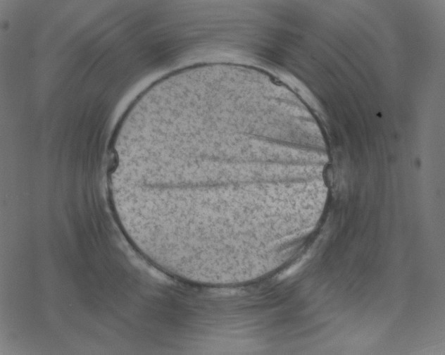 X0000078300904200612011831