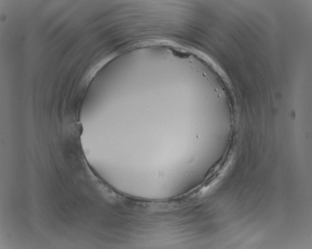 X0000078300905200612011831