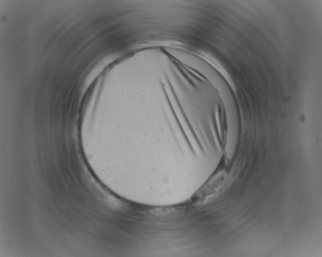 X0000078300906200612011831