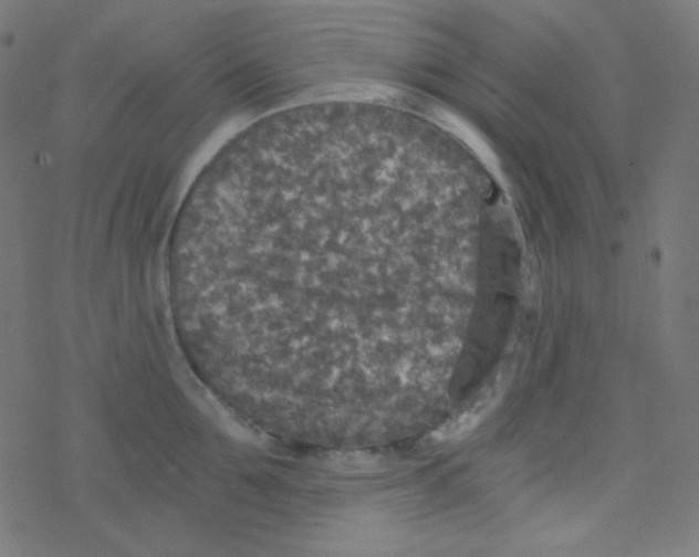 X0000078300907200612011831