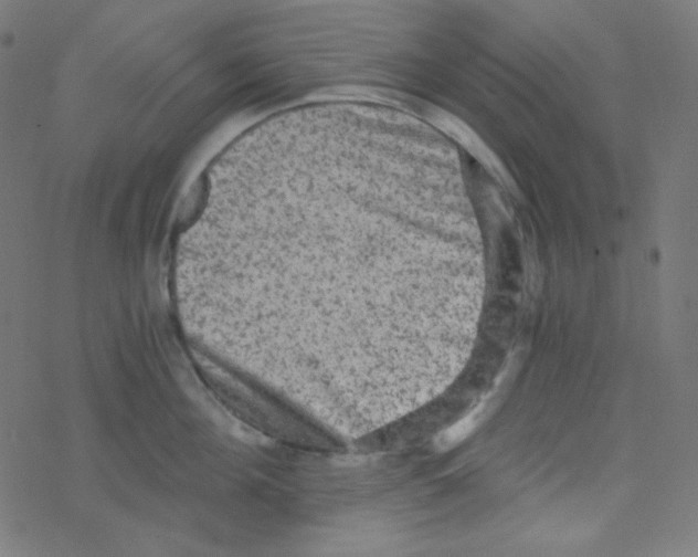 X0000078300908200612011831