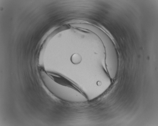 X0000078300909200612011831