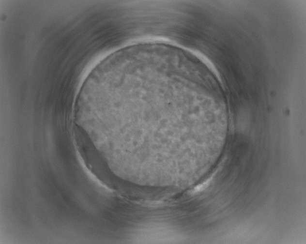 X0000078300911200612011831