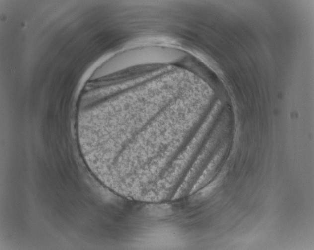 X0000078300912200612011831