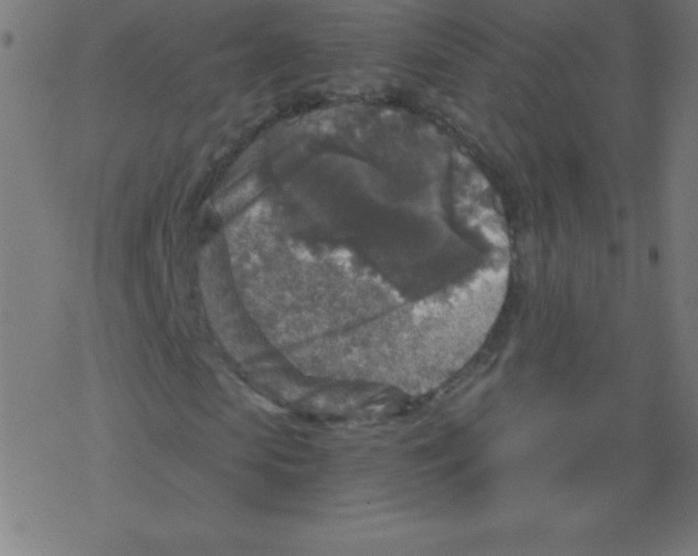 X0000078300913200612011831