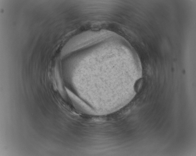 X0000078300914200612011831