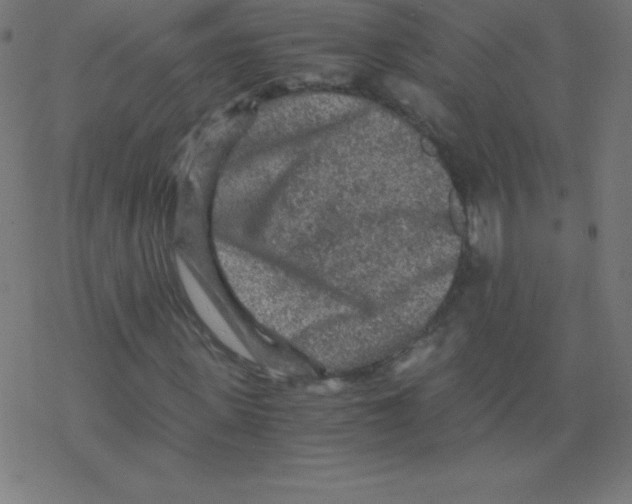 X0000078300915200612011831