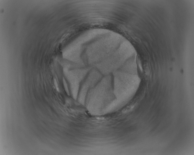 X0000078300916200612011831