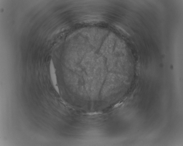 X0000078300917200612011831