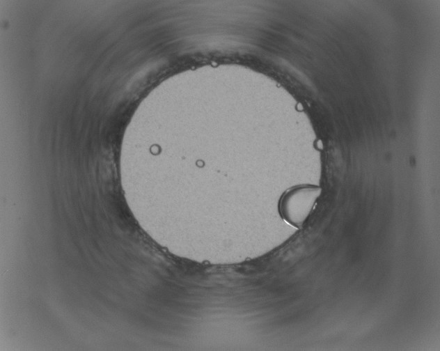 X0000078300918200612011831