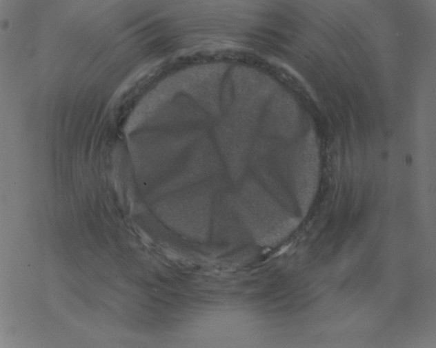 X0000078300919200612011831