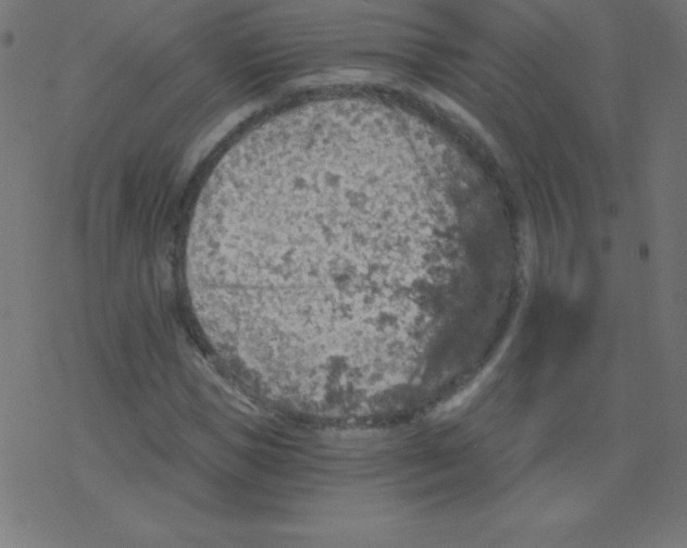 X0000078300921200612011831