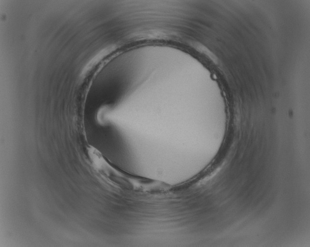 X0000078300922200612011831