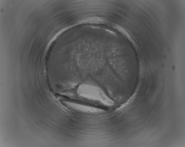 X0000078300923200612011831