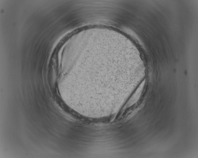 X0000078300924200612011831