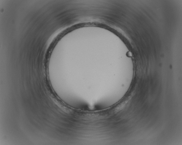 X0000078300927200612011831