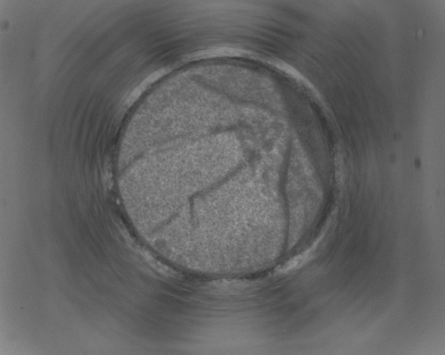 X0000078300929200612011831