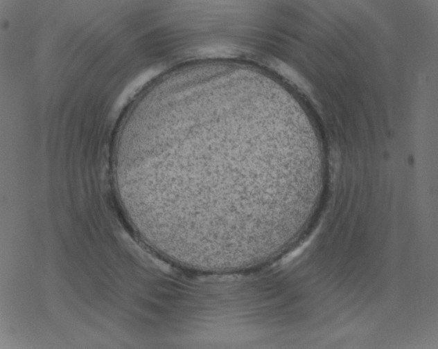 X0000078300930200612011831