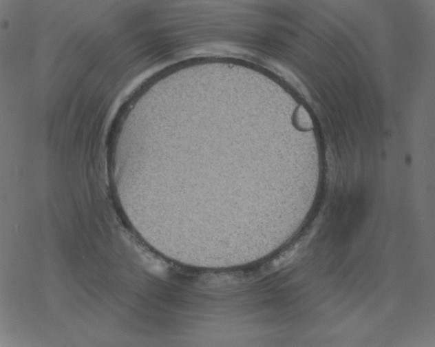 X0000078300931200612011831