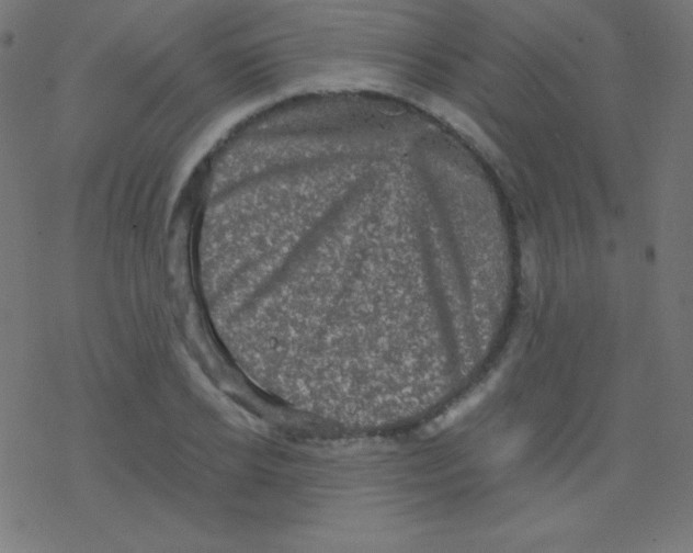 X0000078300934200612011831