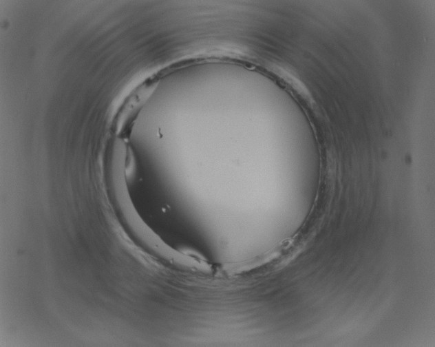 X0000078300936200612011831