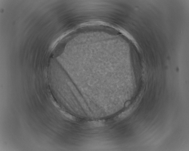 X0000078300937200612011831