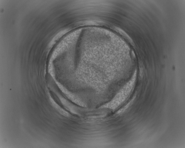 X0000078300938200612011831