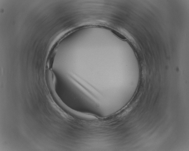 X0000078300940200612011831