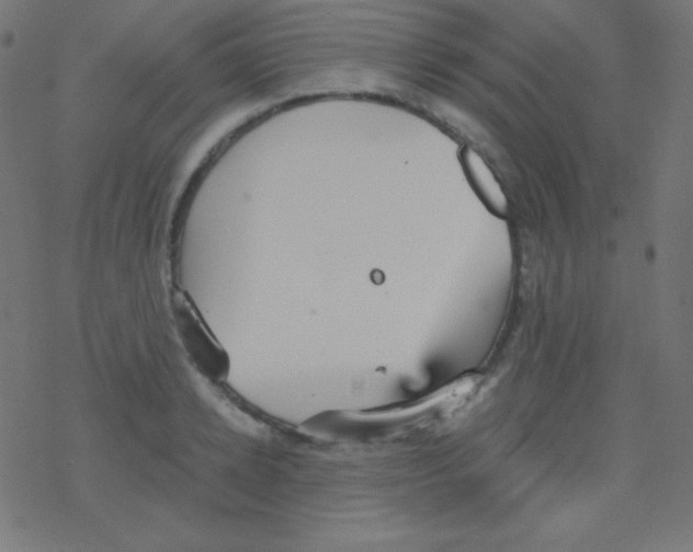 X0000078300942200612011831