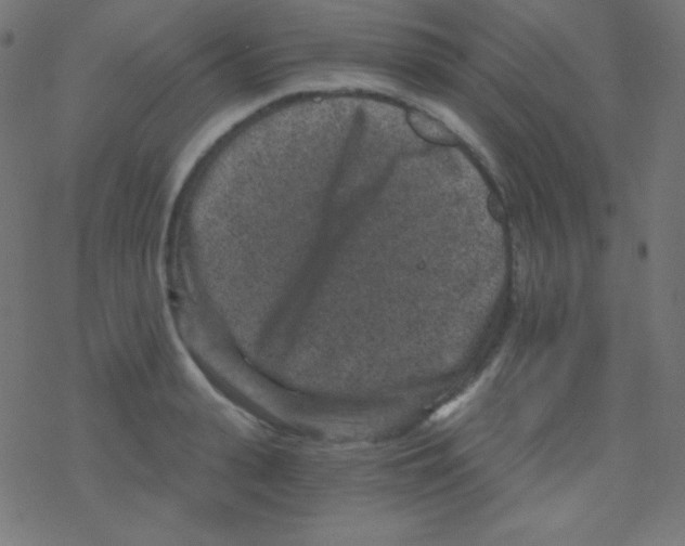 X0000078300943200612011831