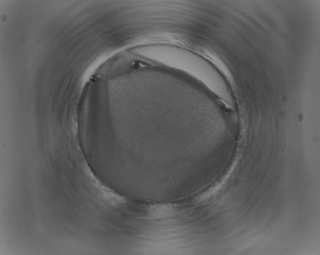 X0000078300944200612011831