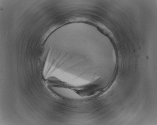 X0000078300945200612011831