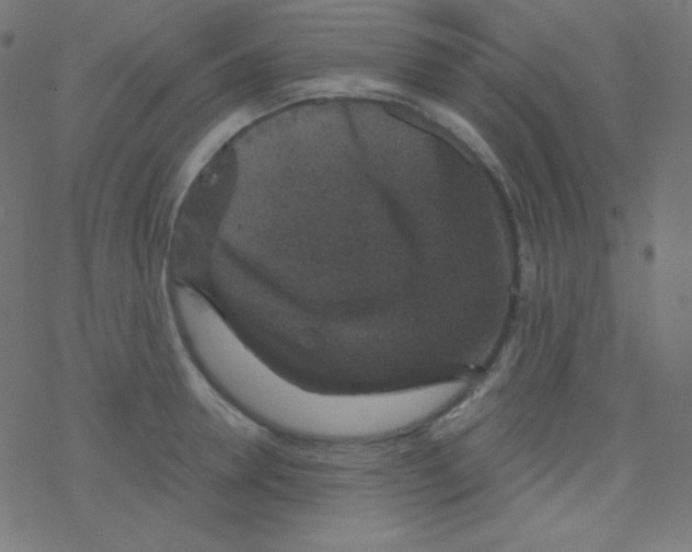 X0000078300946200612011831