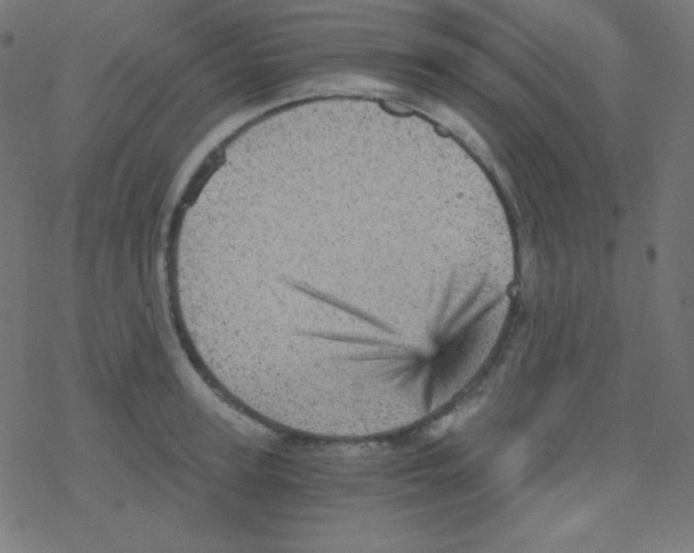 X0000078300947200612011831