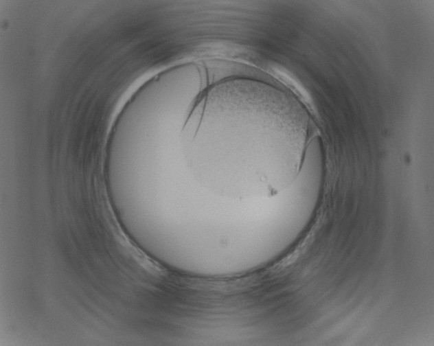 X0000078300948200612011831